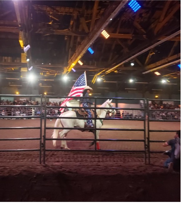 Cowperson on horse with flag