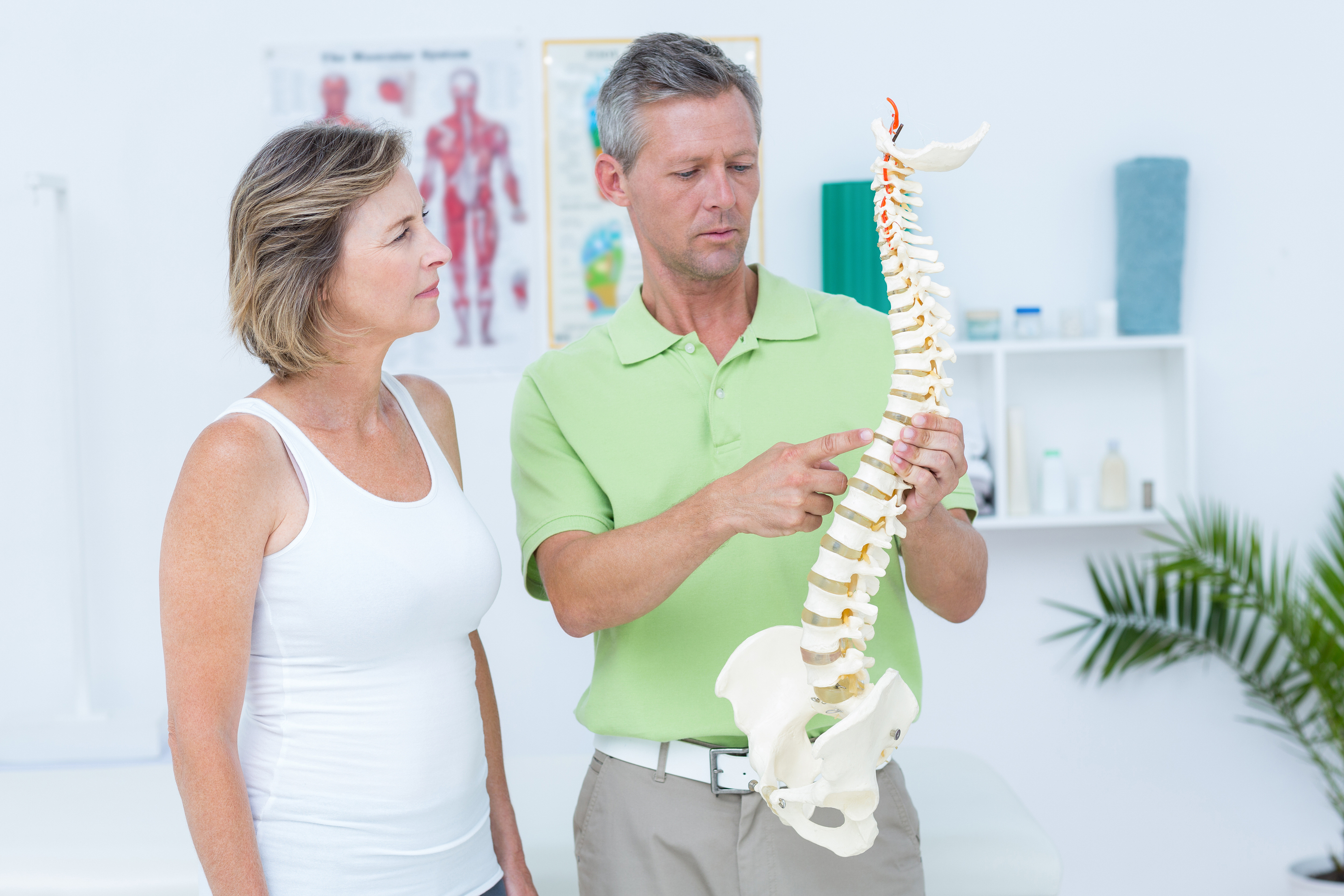 Doctor showing anatomical spine in medical office