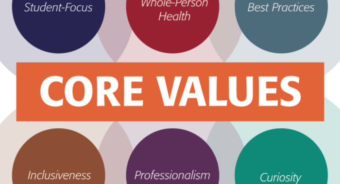 Core Values Full Icon