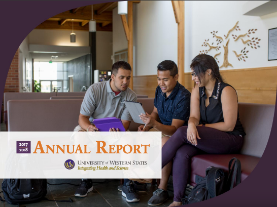 annual-report-17-18