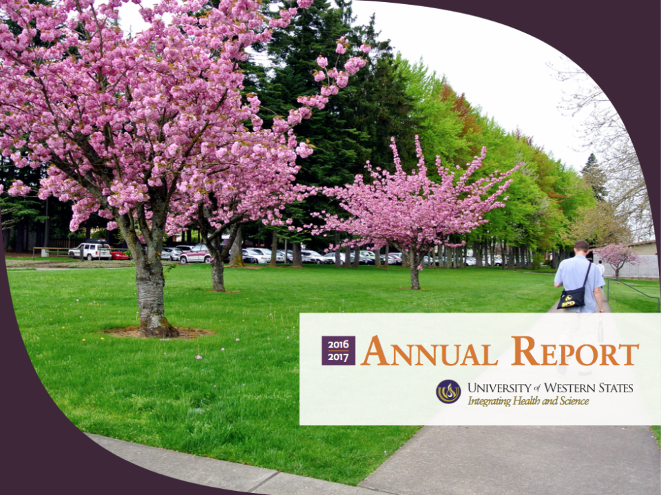 annual-report-2016-2017